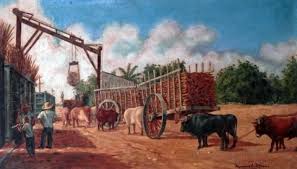 Carreteros Cana de Azucar