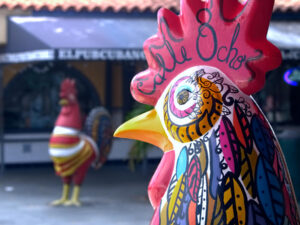 roosters-of-calle-ocho